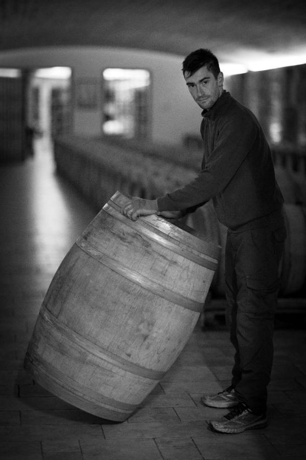 Il Roncal Wine Resort - For Wine Lovers Cividale del Friuli Eksteriør bilde