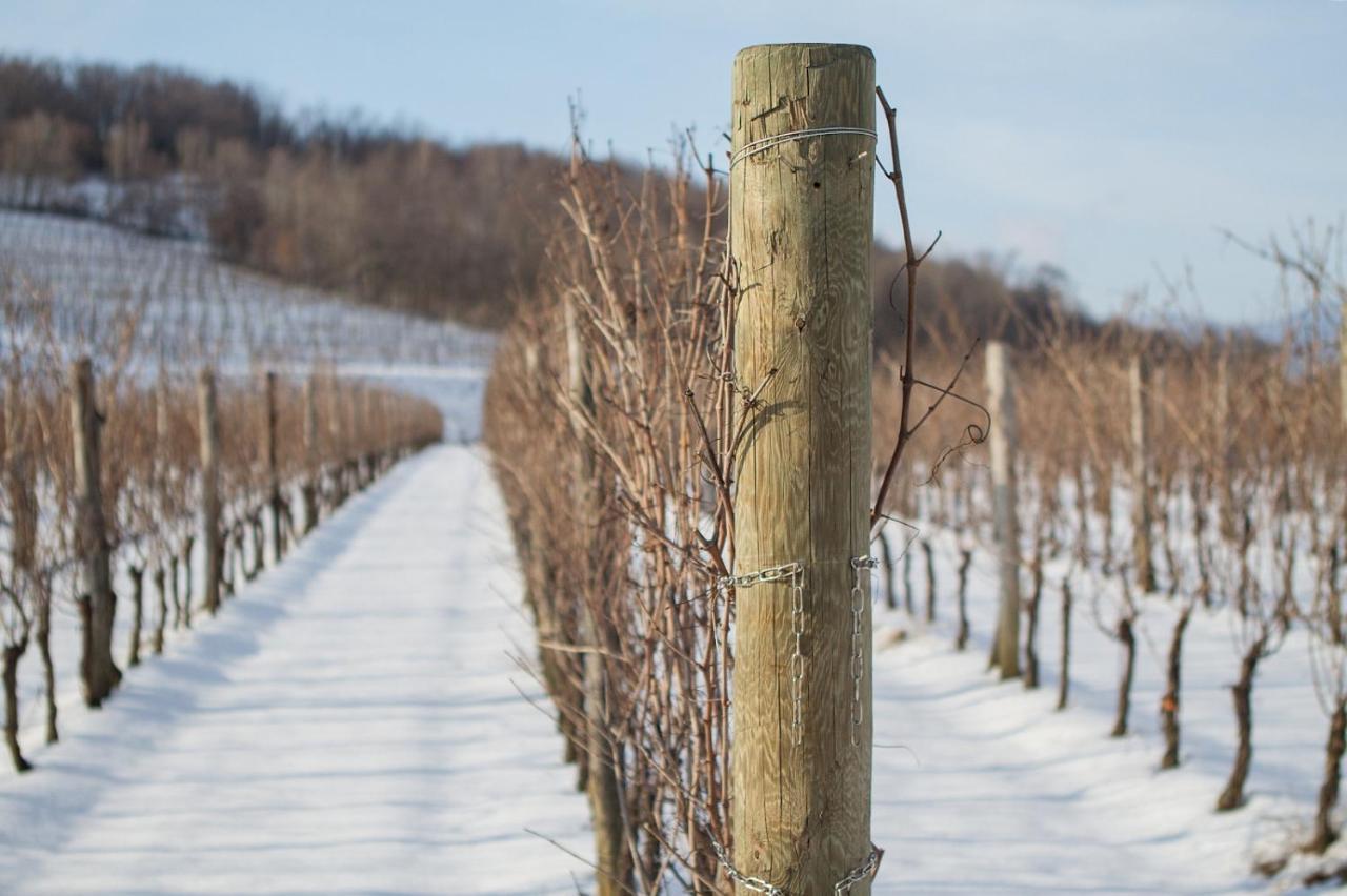 Il Roncal Wine Resort - For Wine Lovers Cividale del Friuli Eksteriør bilde