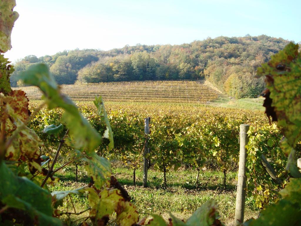Il Roncal Wine Resort - For Wine Lovers Cividale del Friuli Eksteriør bilde