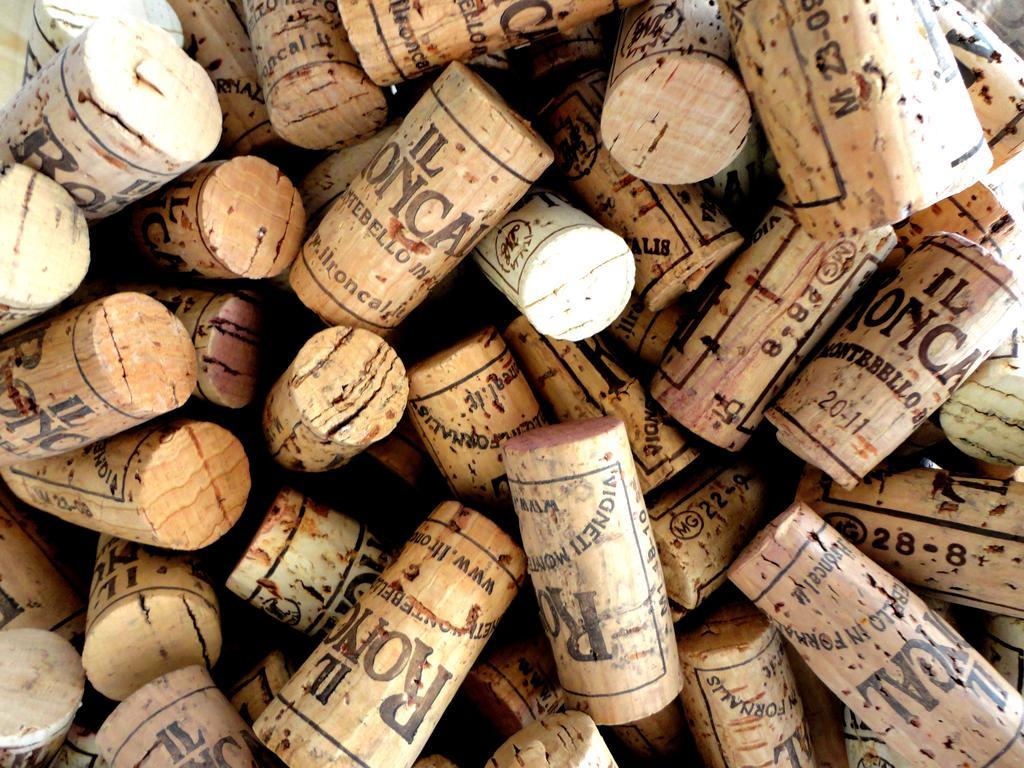 Il Roncal Wine Resort - For Wine Lovers Cividale del Friuli Eksteriør bilde