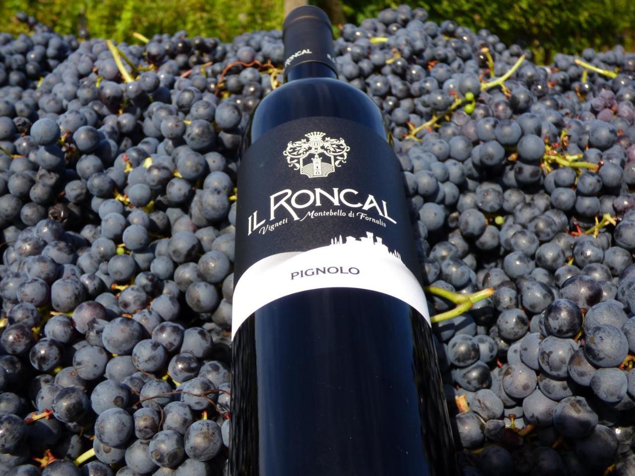 Il Roncal Wine Resort - For Wine Lovers Cividale del Friuli Eksteriør bilde